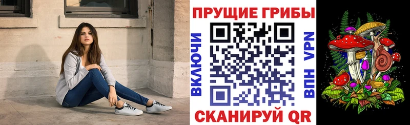 blacksprut зеркало  закладки  Усолье  Псилоцибиновые грибы прущие грибы 